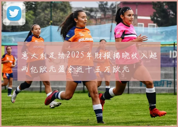 意大利足协2025年财报揭晓收入超两亿欧元盈余近十五万欧元