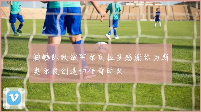 鹈鹕队致敬阿尔瓦拉多感谢你为新奥尔良创造的传奇时刻